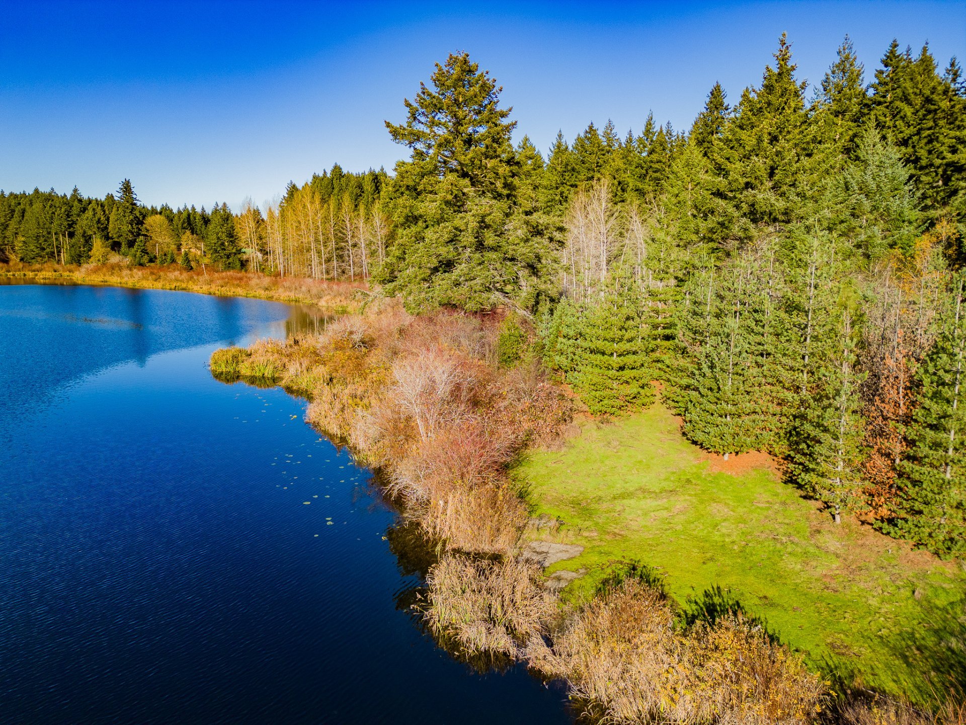 Quennell Lake MapleCross Forest - (c) Doug Wortely -07