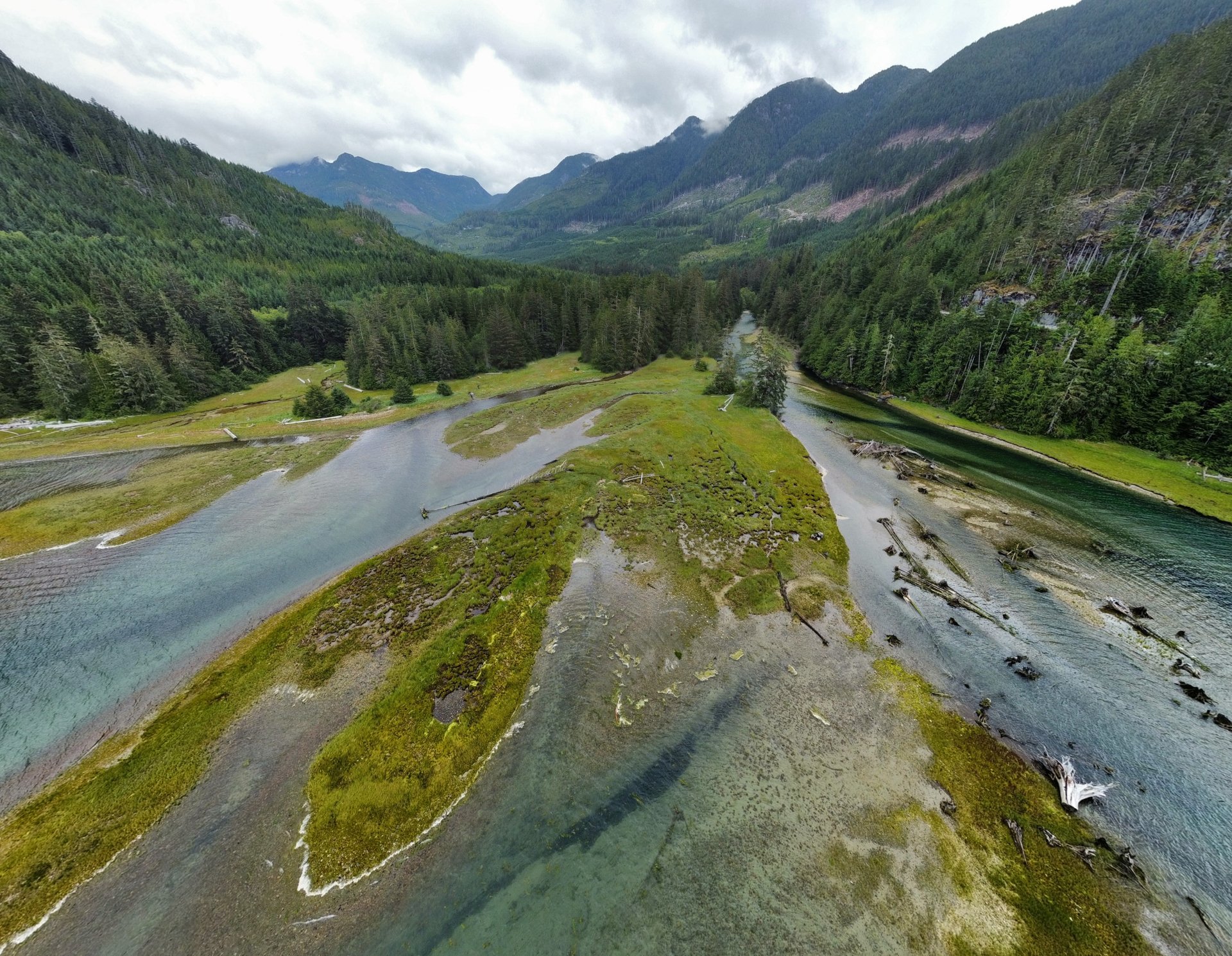 An overhead image of an estuary with mountains and forest in the background.
