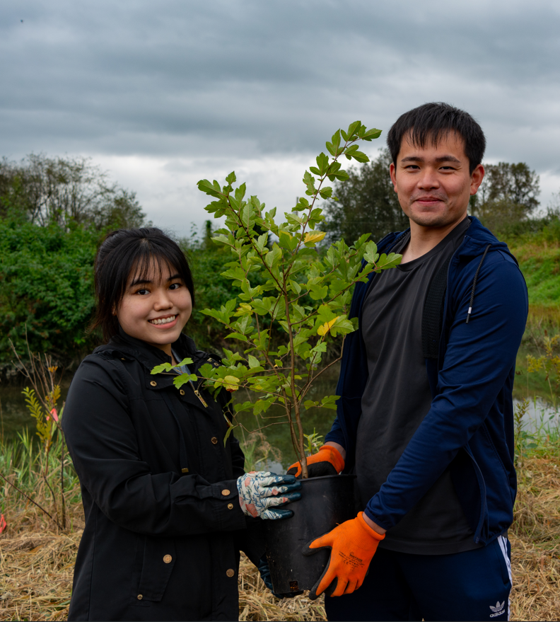 A couple holds a native tree together with gardening gloves before planting it on a conservation area.