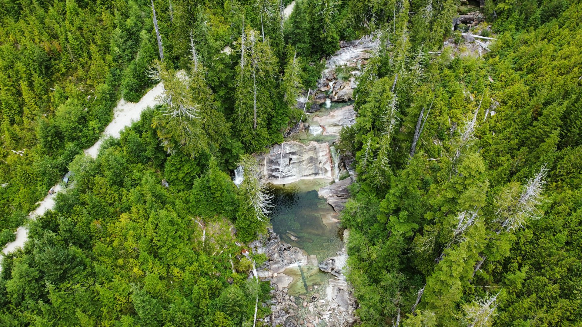 Native grassland and floodplain habitat near Okanagan Falls