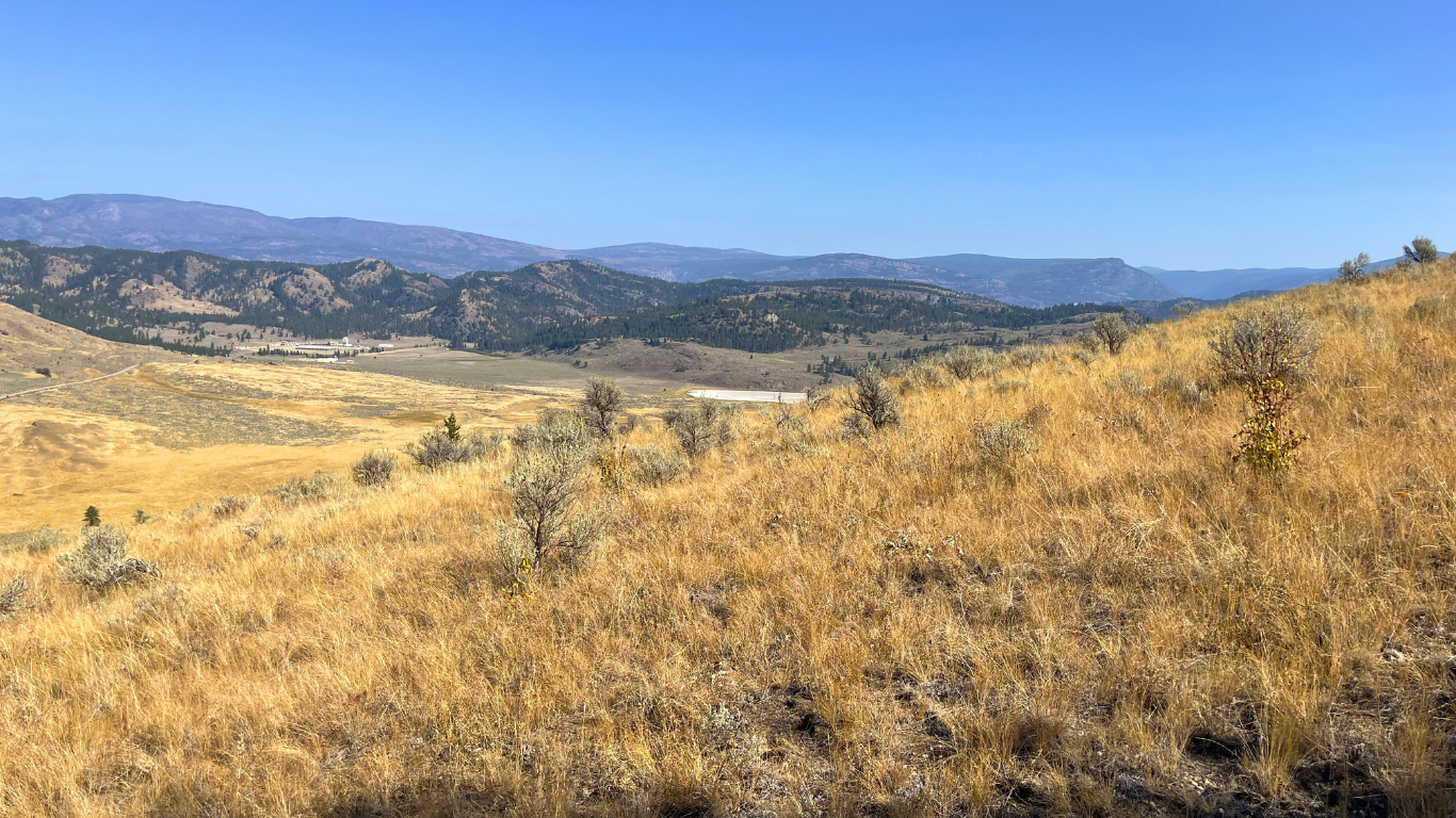 A close view of the natural landscape