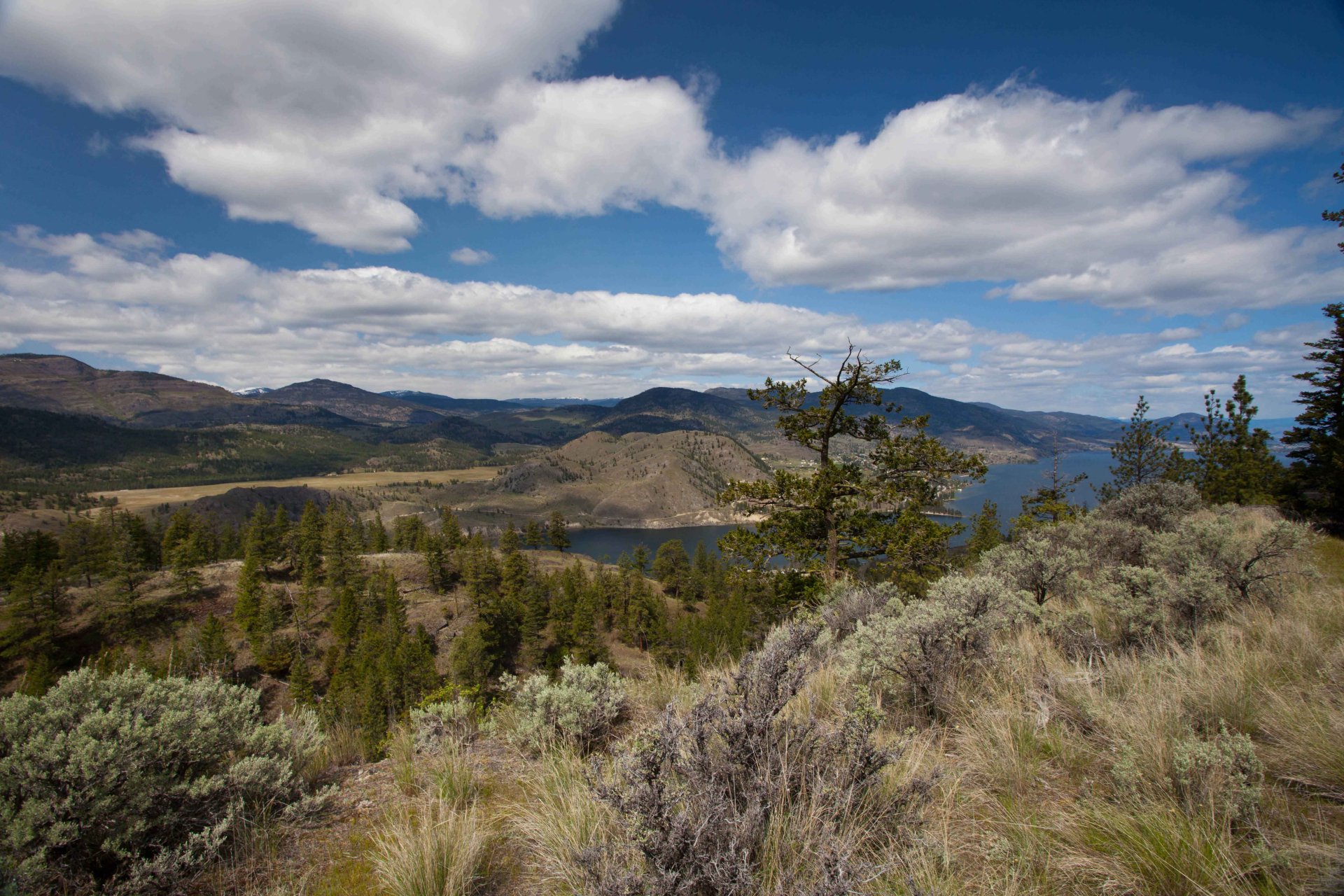 An expansive view across the Okanagan landscape