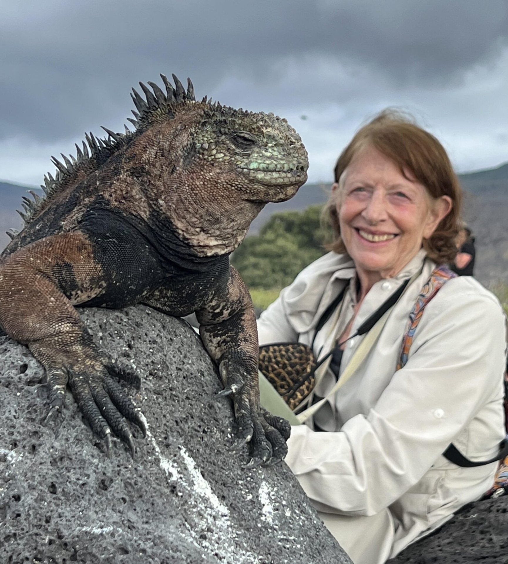 Marine-iguana-1-scaled