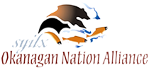 ONA-logo