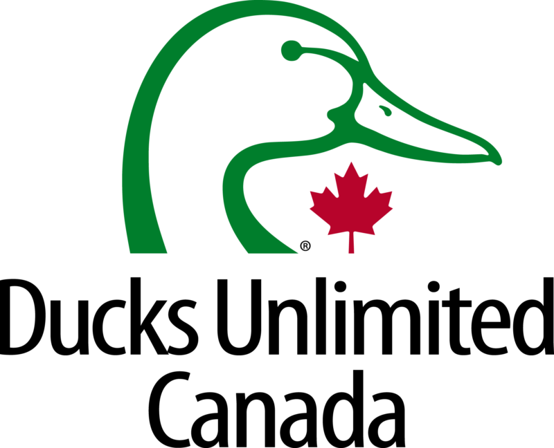 DUC-stack-leaf-4c-e1669238851997