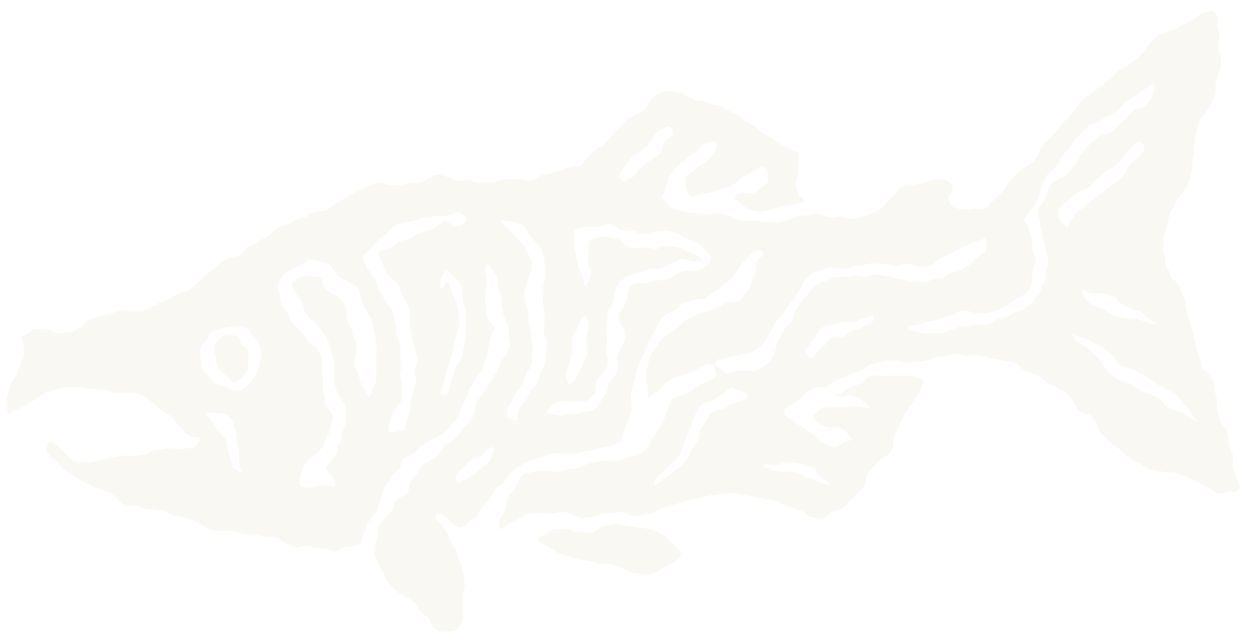 SALMON_ILLO