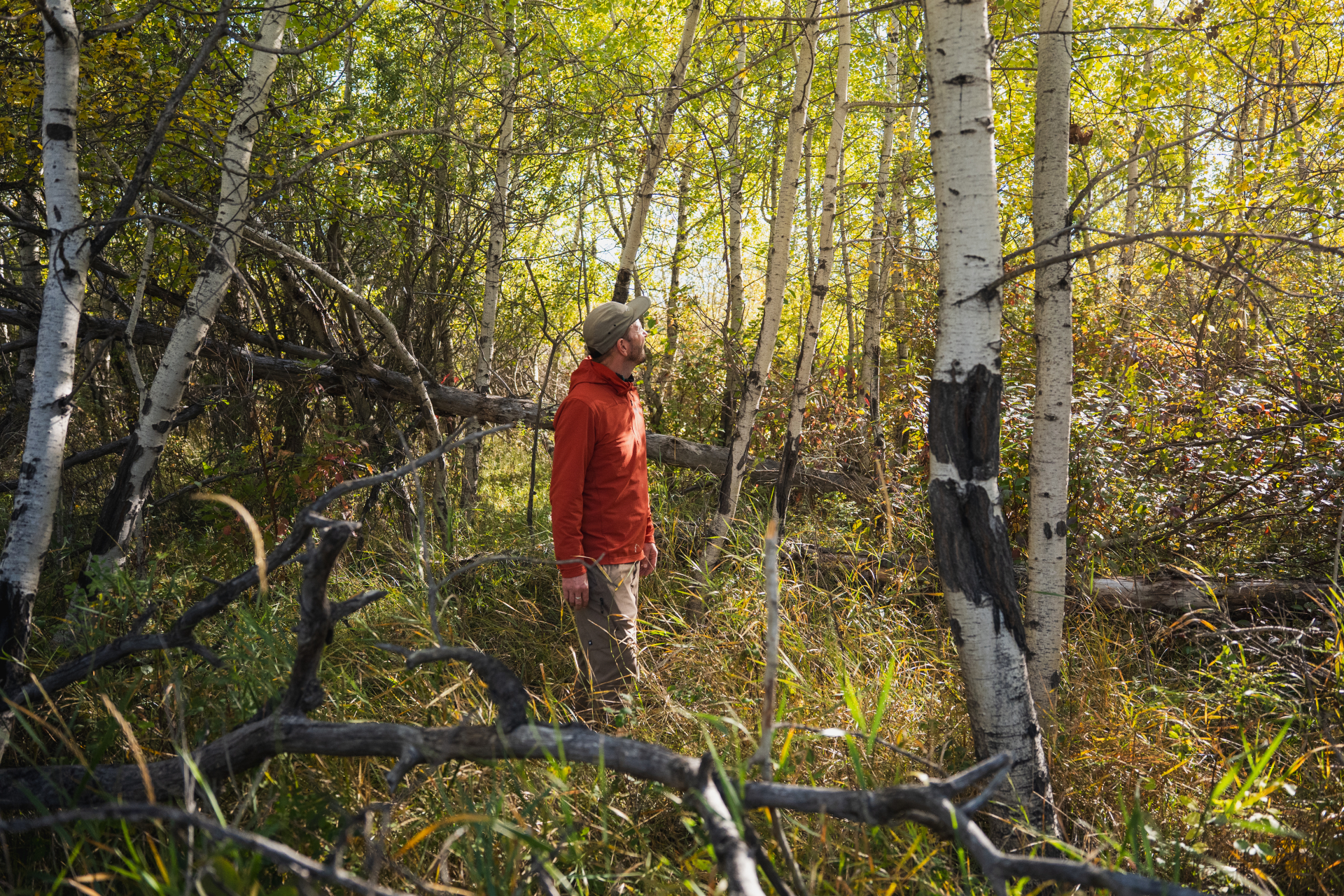 Lower Wolf Creek_Ground-24 (1)